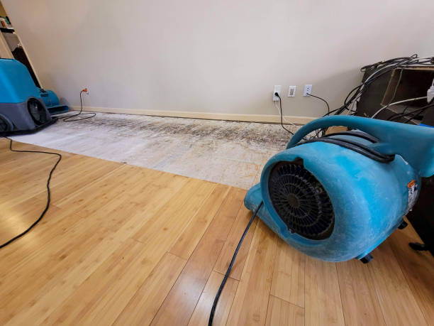 Professional Flood Damage Cleanup technician working in Whitehall, MI
